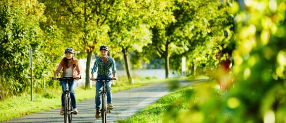 Radfahrer auf dem Moselradweg
