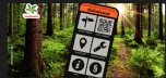 Bild eines Handy, Wald im Hintergrund