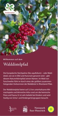 Prospekt zum Walddistelpfad