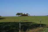 Hügelgrab bei Thomm