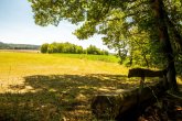 Ausblick mit Bank