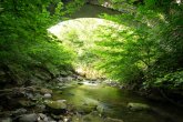 Ruwer mit Brücke