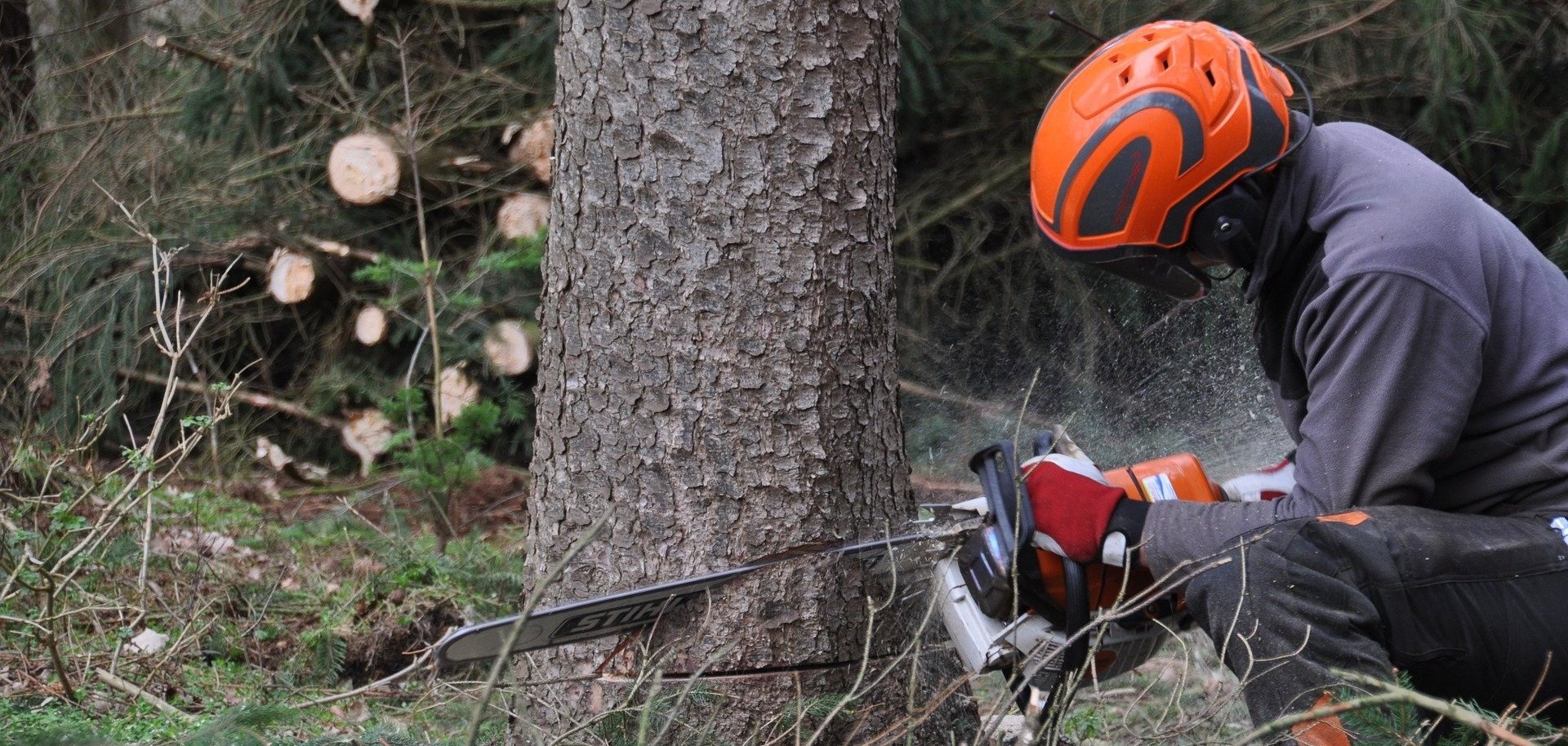 Mann fällt Baum