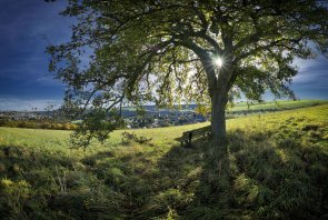 Ruwertal - Baum - Pluwig am Weg Richt. Franzenheim - Herbst -Panorama