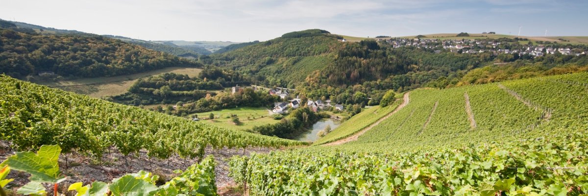 Sommerau | Tourist-Information Ruwer