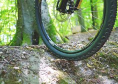 Reifen eines Mountainbikes im Wald