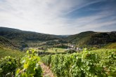 Blick auf Sommerau mit Burgruine