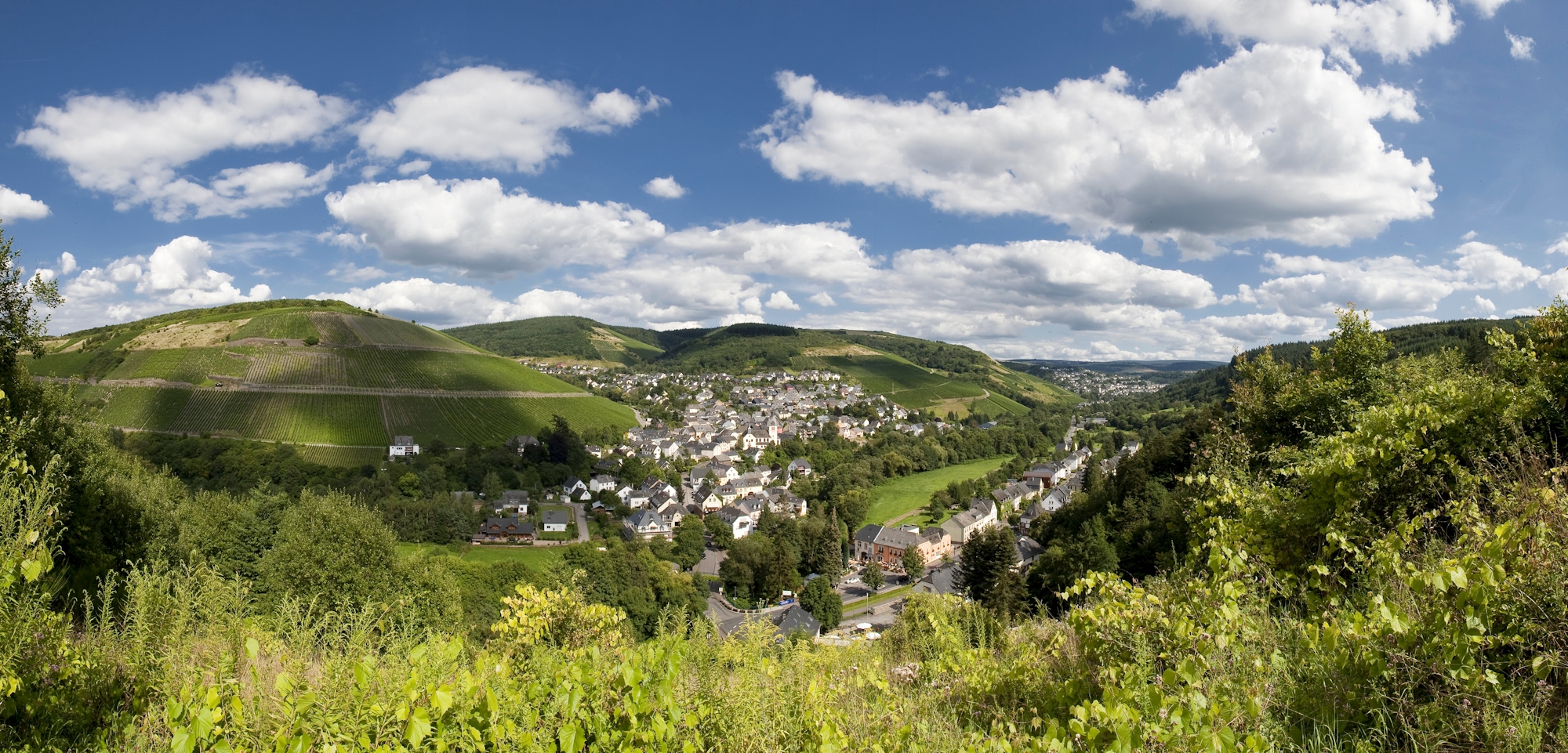Panoramablick auf Kasel und Weinberge