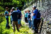 Personen an Schiefermauer im Weinberg
