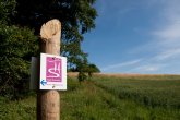 Hinweisbeschilderung am Schiefer Wackenweg