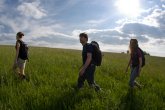 3 Wandernde im hohen Gras