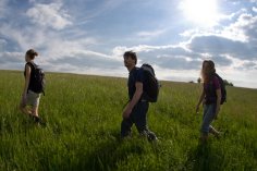 3 Wandernde im hohen Gras