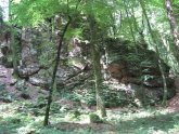 Felsformation im Wald