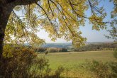 Felder mit Ortschaft im Hintergrund