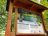 Informationstafel zum Pionierweiher