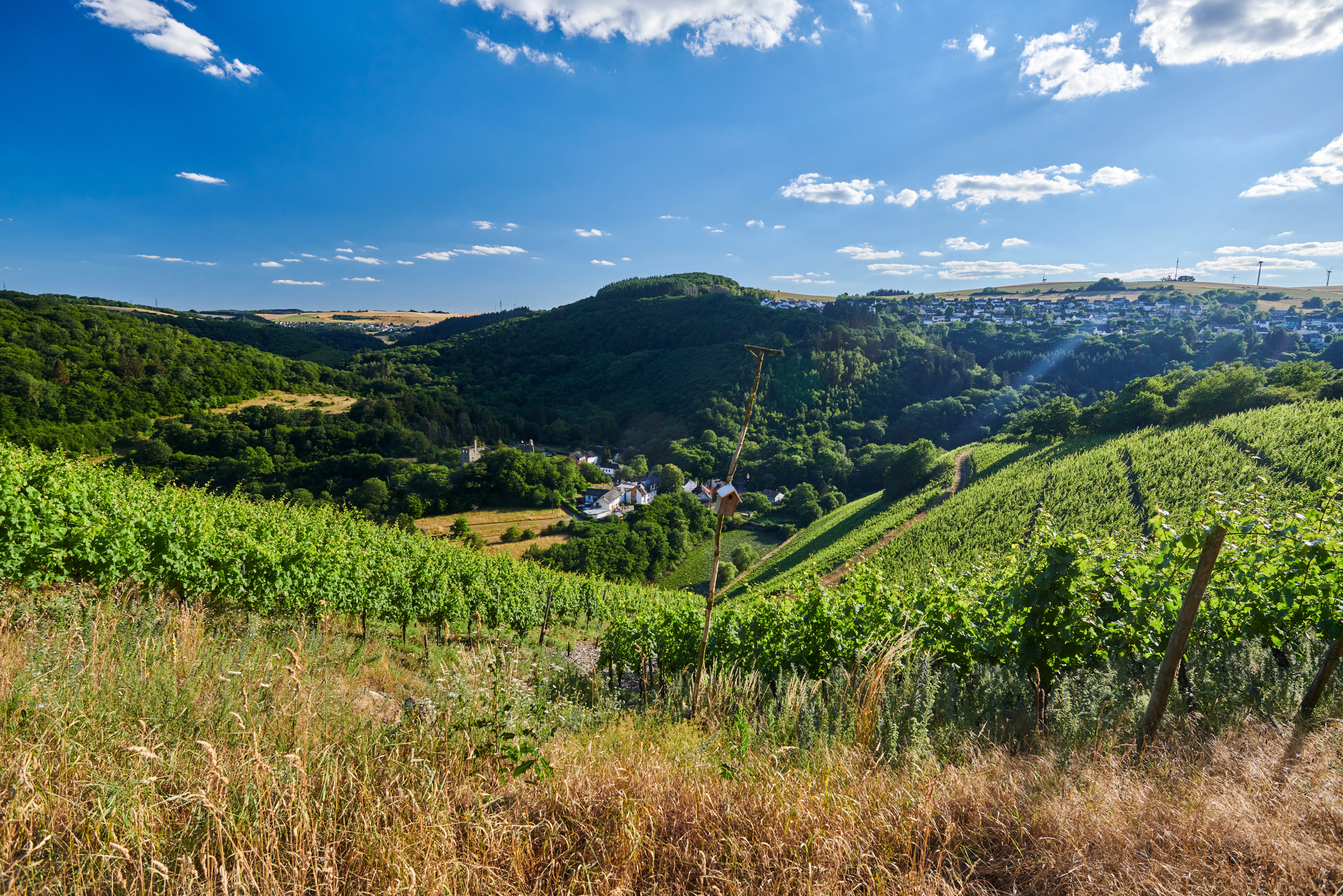 Blick auf die Burgruine Sommerau