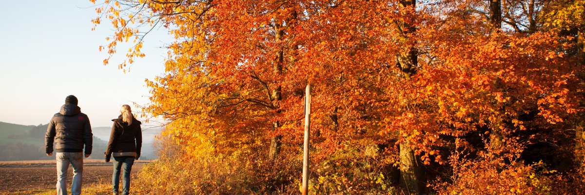 2 Wanderer entlang herbstlich gefärbten Laubbäumen