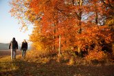 2 Wanderer entlang herbstlich gefärbten Laubbäumen