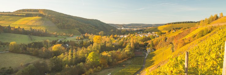 Herbstliche Weinberglagen im Ruwertal