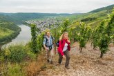 Wanderer auf Moselsteigs