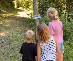 Kinder schauen sich den Code einer digitalen Schnitzeljagd an
