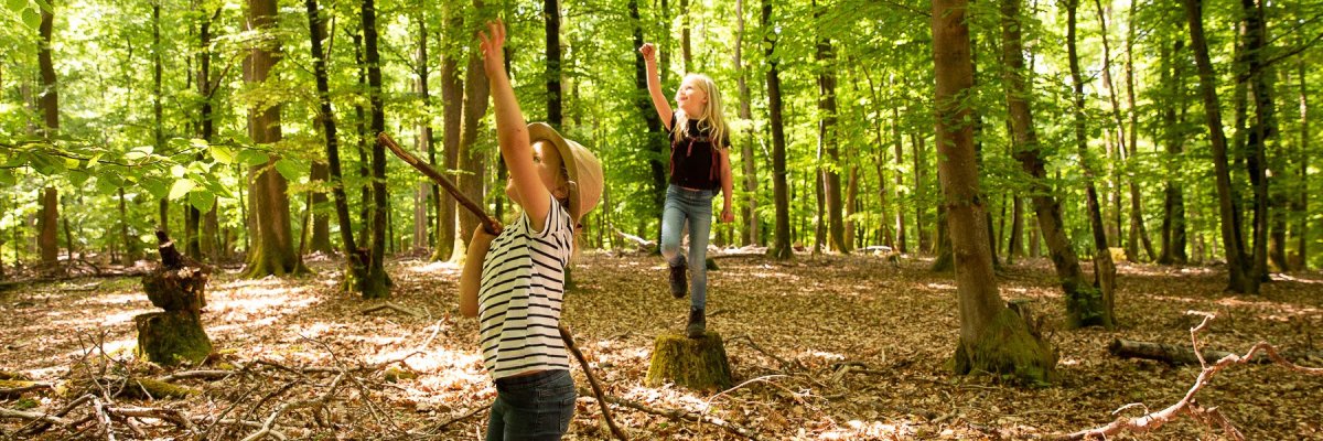 Walderkunden im Erholungsgebiet Hochwald
