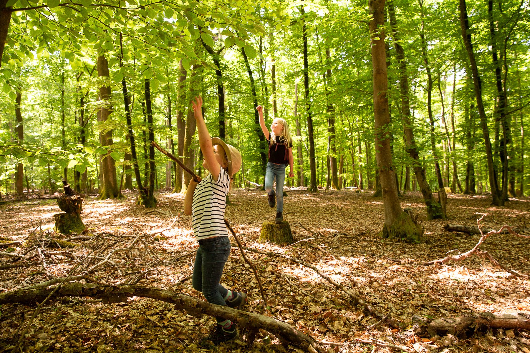 Walderkunden im Erholungsgebiet Hochwald