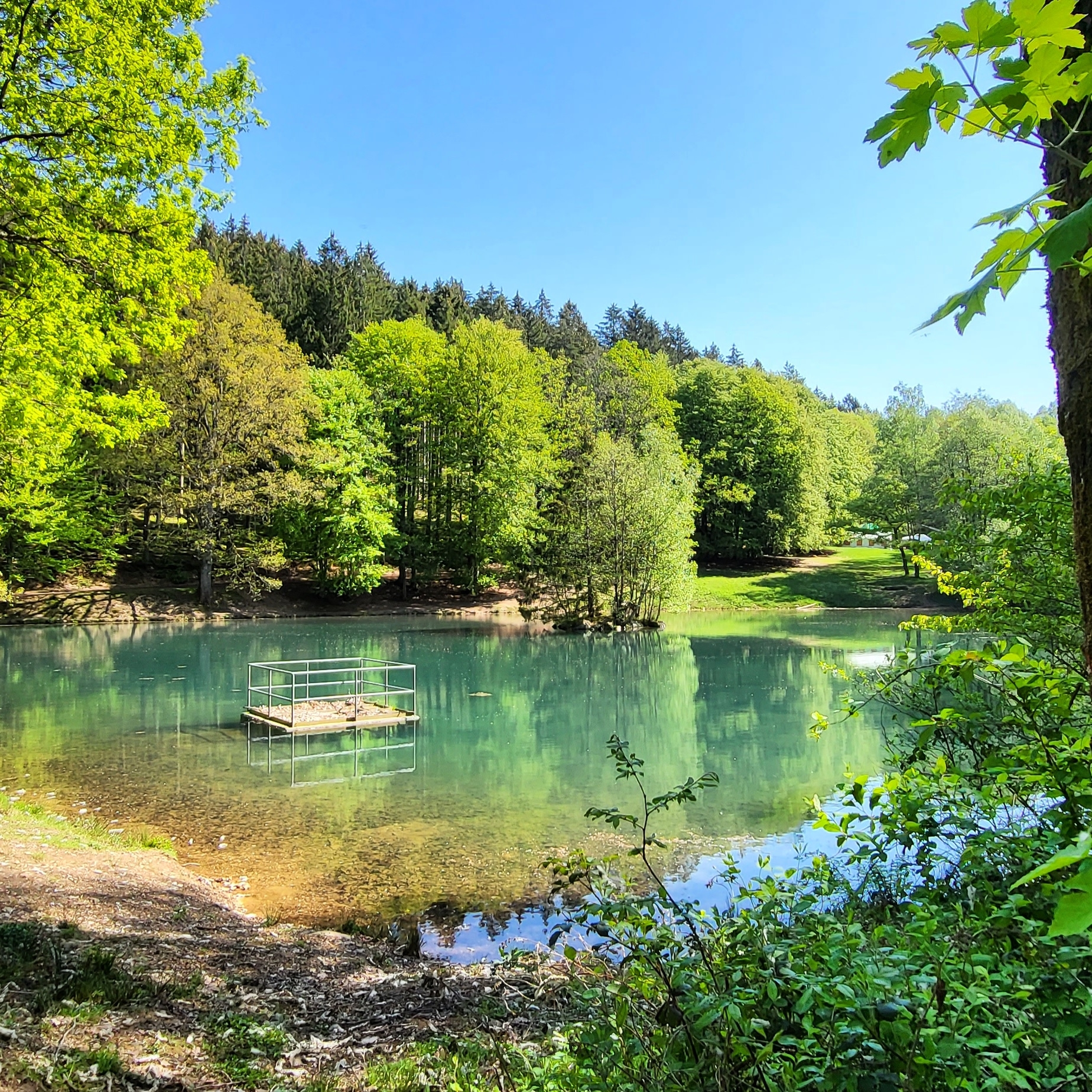 Blick auf den Holzerather See