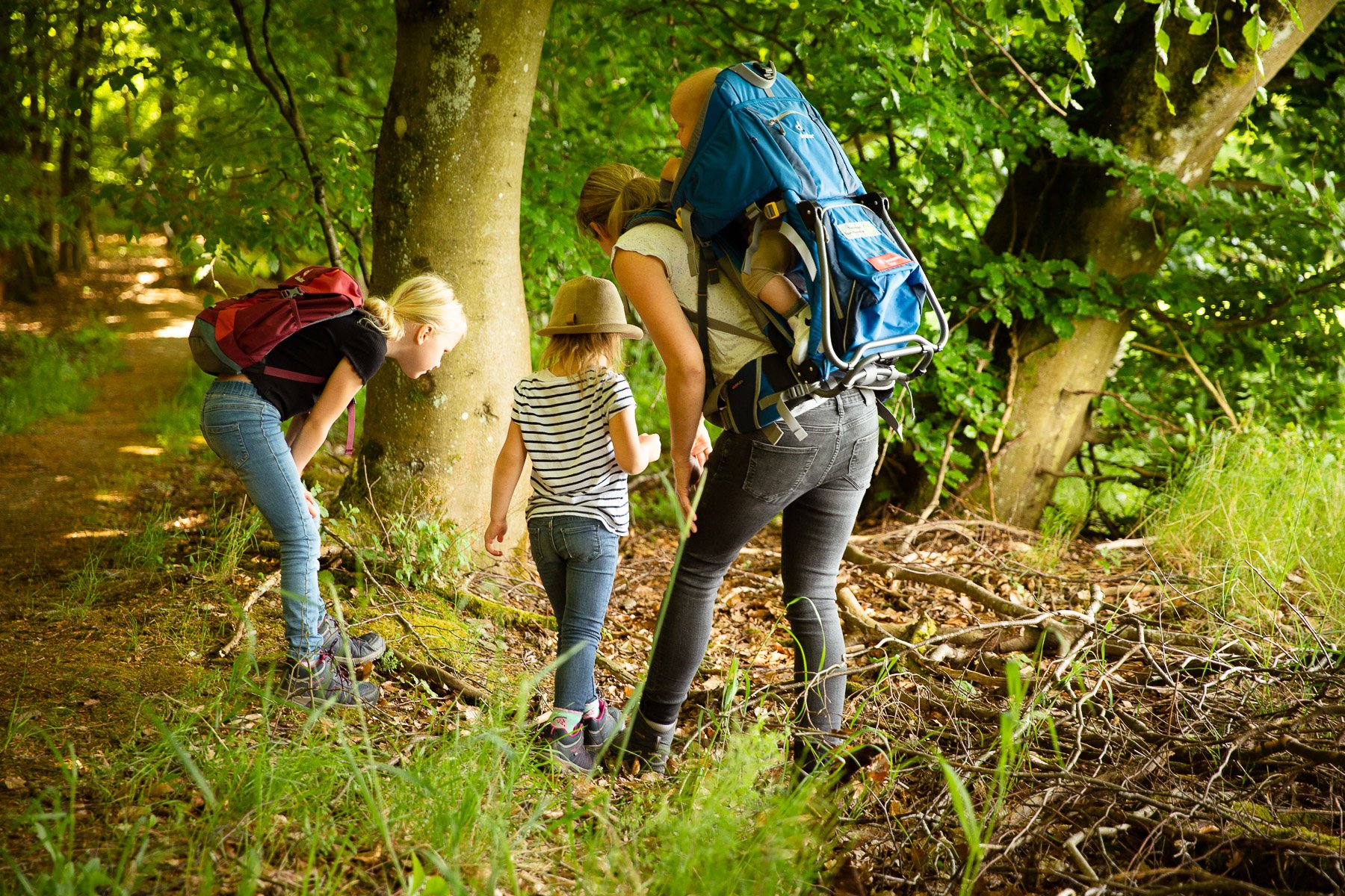 Walderkunden im Erholungsgebiet Hochwald Walderkunden im Erholungsgebiet Hochwald